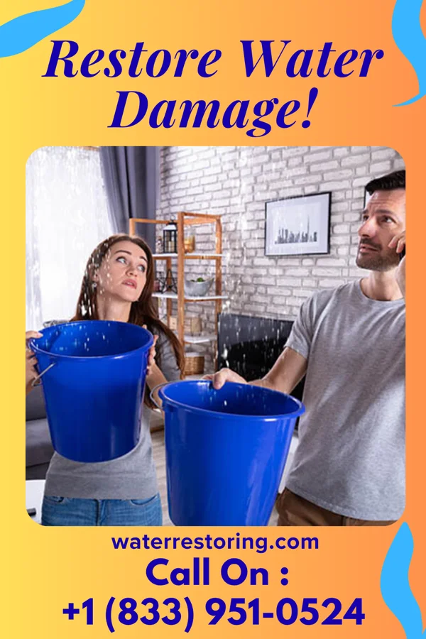 water restoration Prestige Water Repair Ely