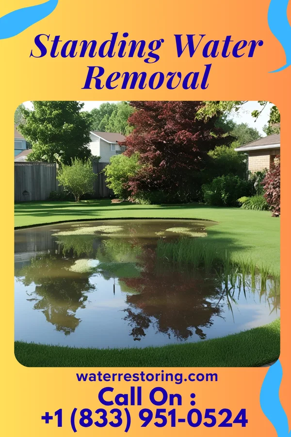 Standing Water Removal in Ely, IA